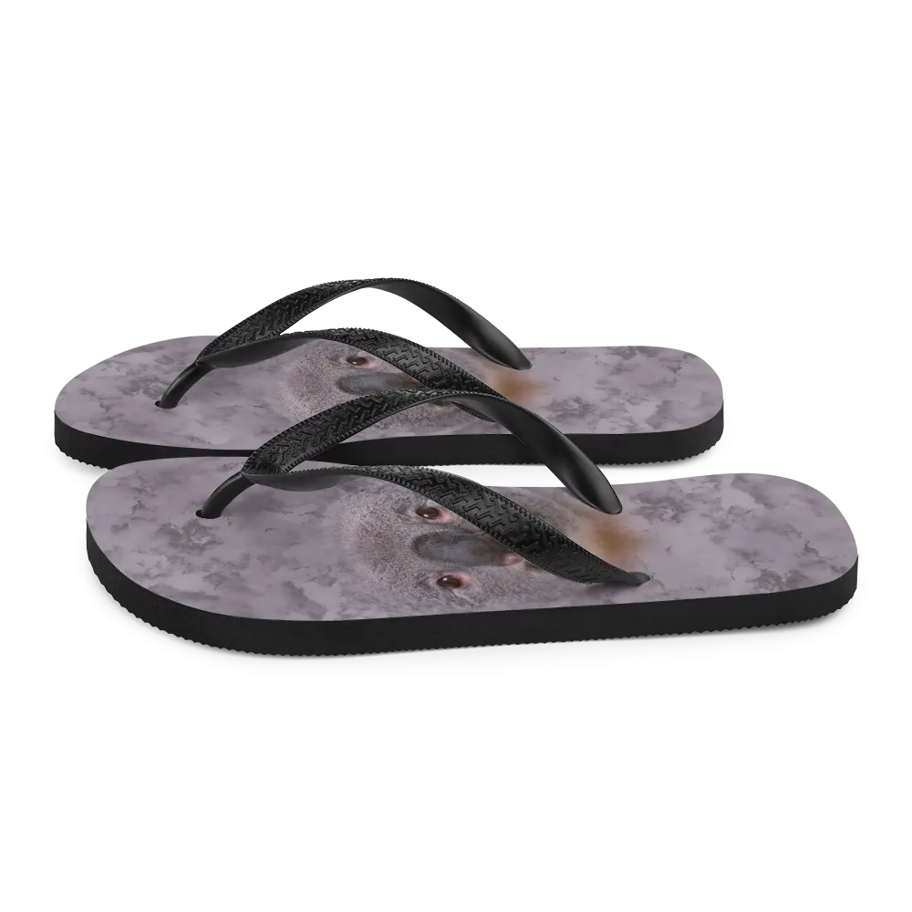 Koala Flip-Flops