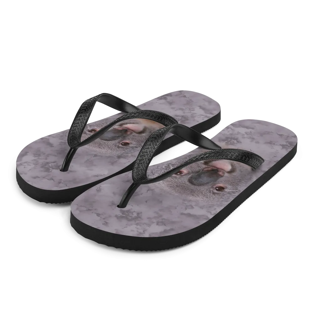 Koala Flip-Flops