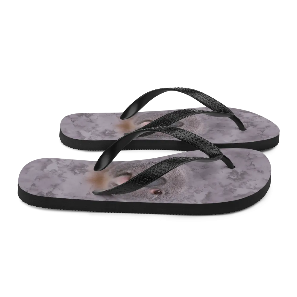 Koala Flip-Flops