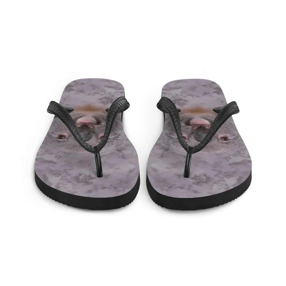 Koala Flip-Flops