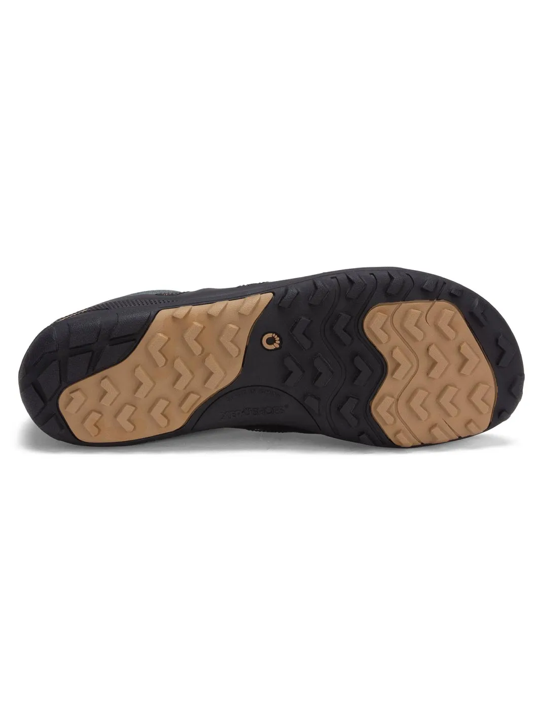 Xero Mesa Trail V2 Barefoot Shoe - Mens - Forest